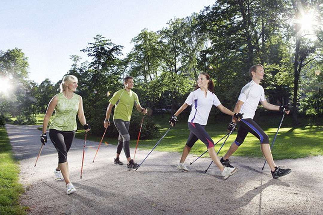 A Group Nordic Walking A Group Nordic Walking