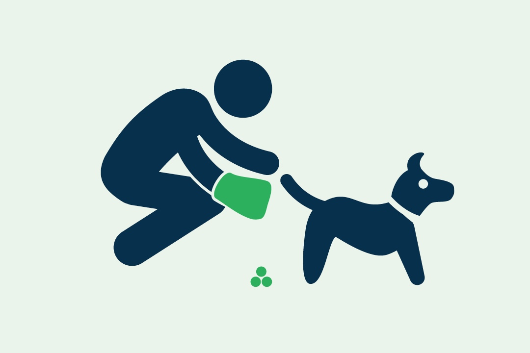 Pick up Dog Poop graphic