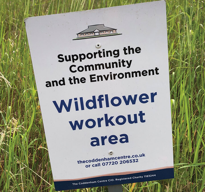 We are helping next year’s wildflowers ‘workout’.