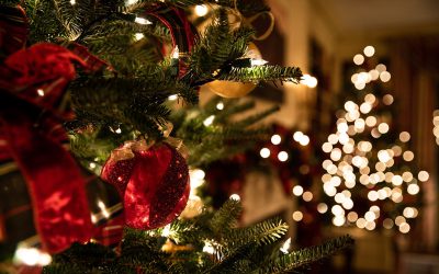 A Very Happy New Year from us All at The Coddenham Centre.
