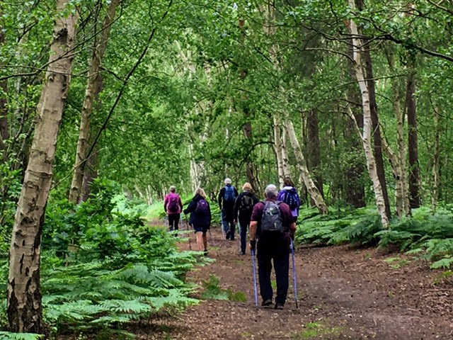 Nordic Walking Group The Coddenham Centre