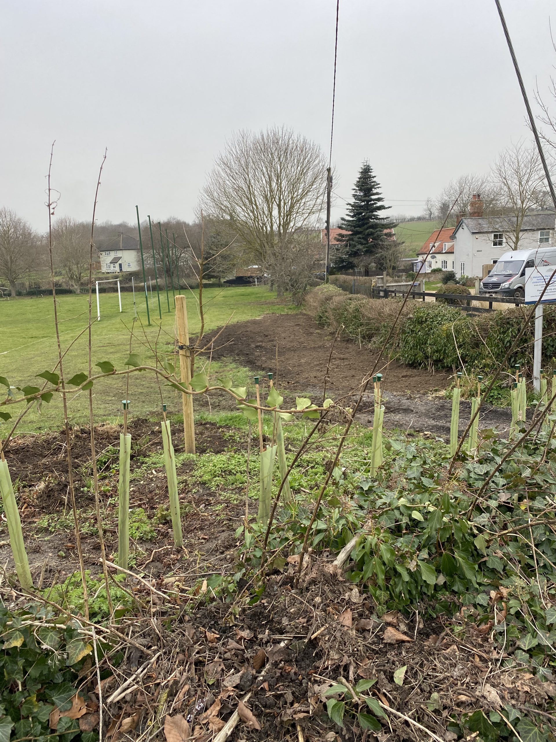 outdoor planting TCC