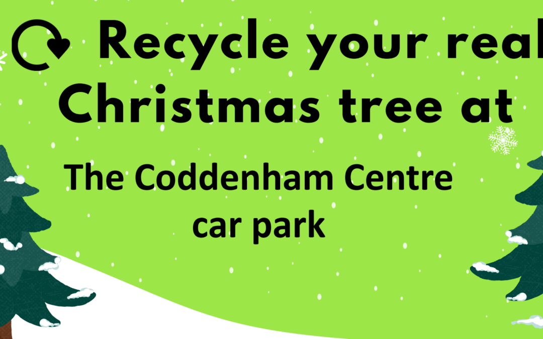 Christmas Tree Recycling