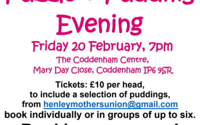 Puzzle and Pudding Evening for Brave Futures