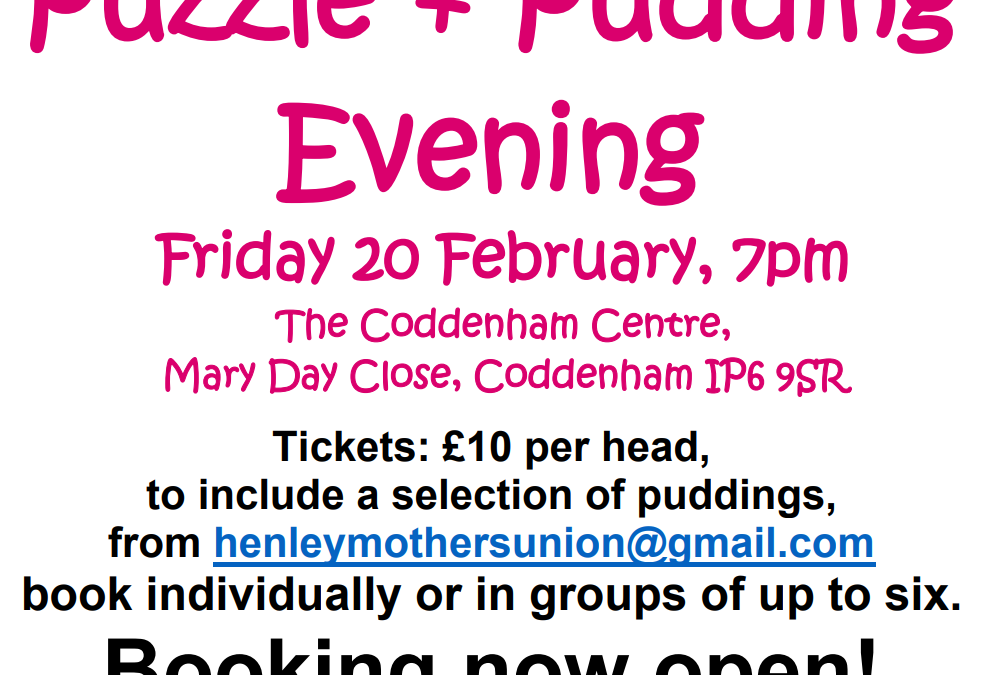Puzzle and Pudding Evening for Brave Futures